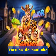 fortuna do paulinho do roupa nova